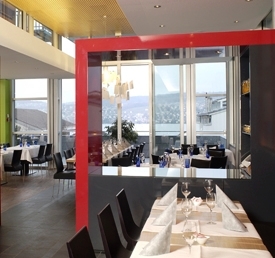 Sedartis - Thalwil - Lake Zurich region