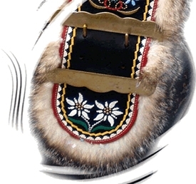 Hirzel