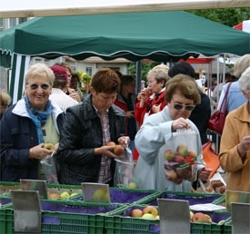 Markt - Lachen - Region Zürichsee