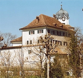 Schlossmuseum - Grueningen - Region Zürichsee