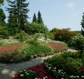Botanischer Garten - Grüningen - Region Zürichsee