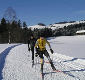 Cross-country skiing - Ricken - Lake Zürich region