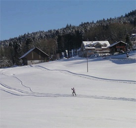 Cross-country skiing - Ricken - Lake Zürich region