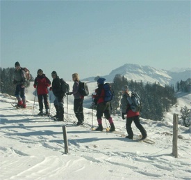 Atzmännig snowshoe trail - Goldingen - Lake Zürich region