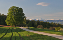 Zürichsee-Rundweg