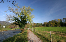 Zürichsee-Rundweg