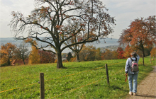Zürichsee-Rundweg
