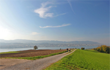 Zürichsee-Rundweg