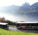 Autobetrieb Weesen-Amden - Carfahrten - Region Zürichsee