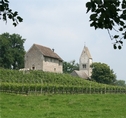 Insel Ufenau - Lake Zurich region