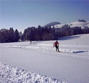 Cross-country skiing - Amden - Lake Zürich region