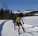 Cross-country skiing - Ricken - Lake Zürich region