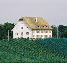Freienbach