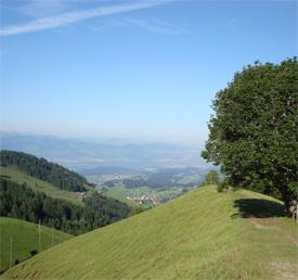 Berggasthaus Chrüzegg - Goldingen - Lake Zurich region