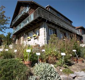 Kulinarische Reisen - alpinavera - Region Zürichsee/Walensee