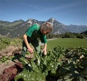 Kulinarische Reisen - alpinavera - Region Zürichsee/Walensee