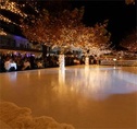 Live on Ice - Küsnacht - Region Zürichsee