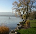 The Wayve - Zürichsee
