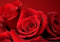 Valentinstag