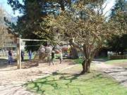 (c) Château-d'Oex Tourisme