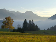 Paysage d'automne à Rougemont