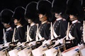 AMP 2010 - The Royal Life Guards