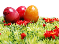 © sk_design - Fotolia.com