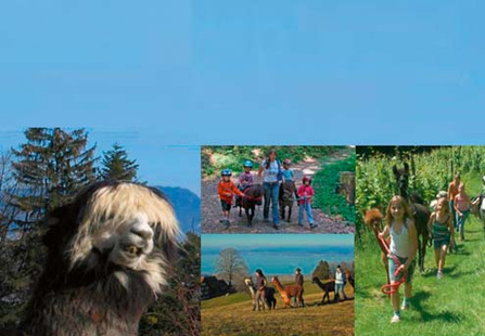 LamAlpaca-Trekking
