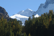 Pollux Pollux