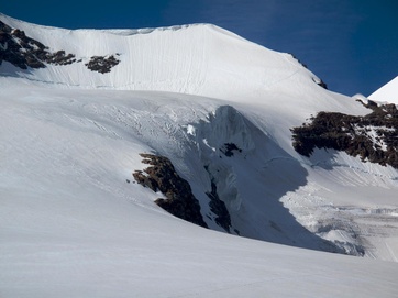 Felikhorn