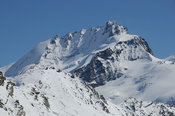 Rimpfischhorn