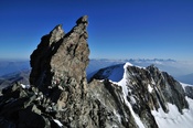 Bishorn