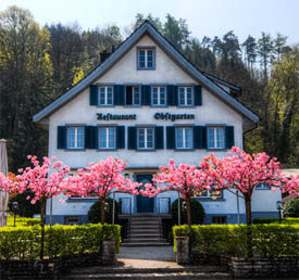 Funkes Obstgarten - Freienbach - Region Zürichsee