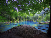 Blausee Blausee