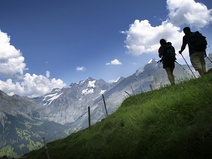 Allmenalp