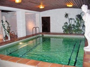 Schwimmbad Hotel Alfa Soleil