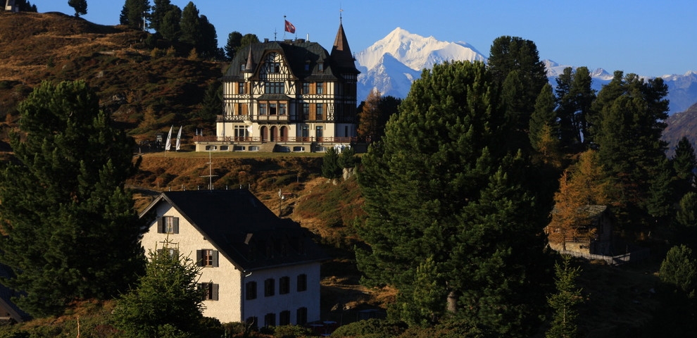 Art Furrer Hotels