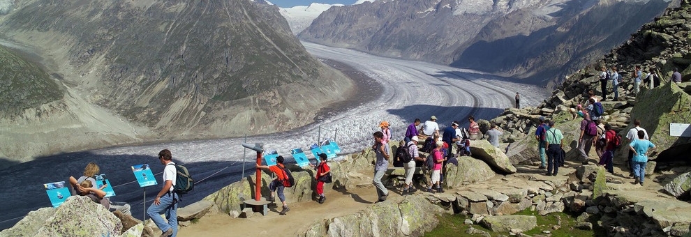 Art Furrer Hotels