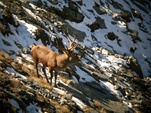 A protected natural experience