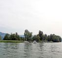 Camping Insel Lützelau - Region Zürichsee