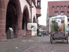 Videos anschauen