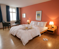 Hotels in Zürich Hotels in Zürich
