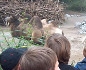 Zurich Zoo
