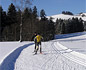 Cross-country skiing - Ricken - Lake Zürich region