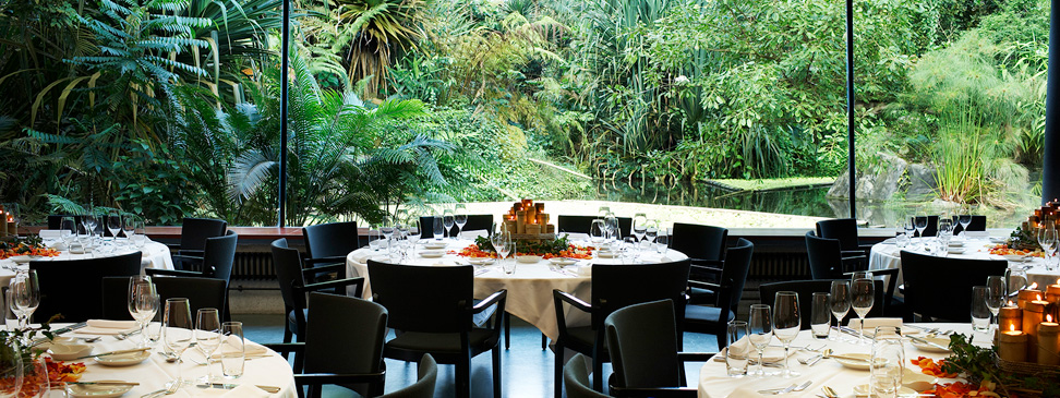 From the Masoala Rainforest...