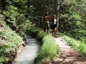 Bisse de Sion