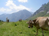 Itinerario Leukerbad Flüealp Leukerbad