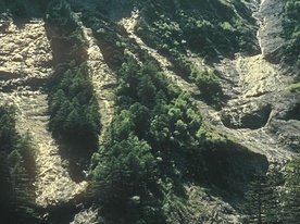 Gorge de Twingi - Binn Gorge de Twingi - Binn