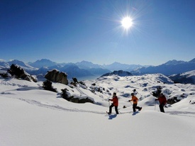 Kongress- und Seminarort Riederalp Winter Schneeschuhausflug