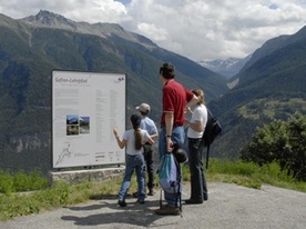 Saffron trail in Mund Saffron trail in Mund